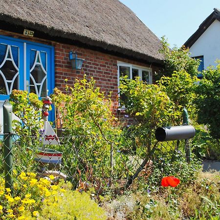 Haus Inselwind Fewo 09 Meerzauber - Terrasse Groß Zicker 外观 照片